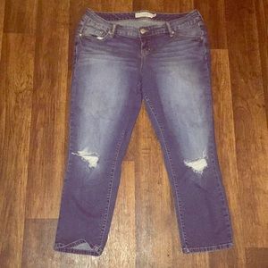 Torrid Ex-Boyfriend size 14R Jeans